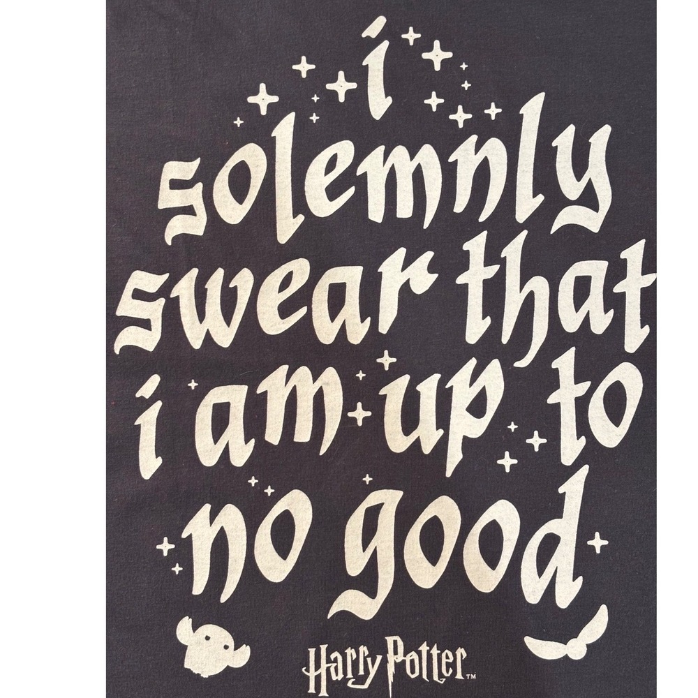 Harry Potter Graphic Tee Women XL Gray Solemnly Swear Quote NWOT